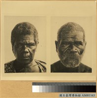 藏品(新喀里多尼亞群島男女正面像)的圖片